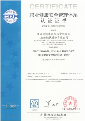 職業(yè)健康安全管理體系證書(shū)_副本.jpg